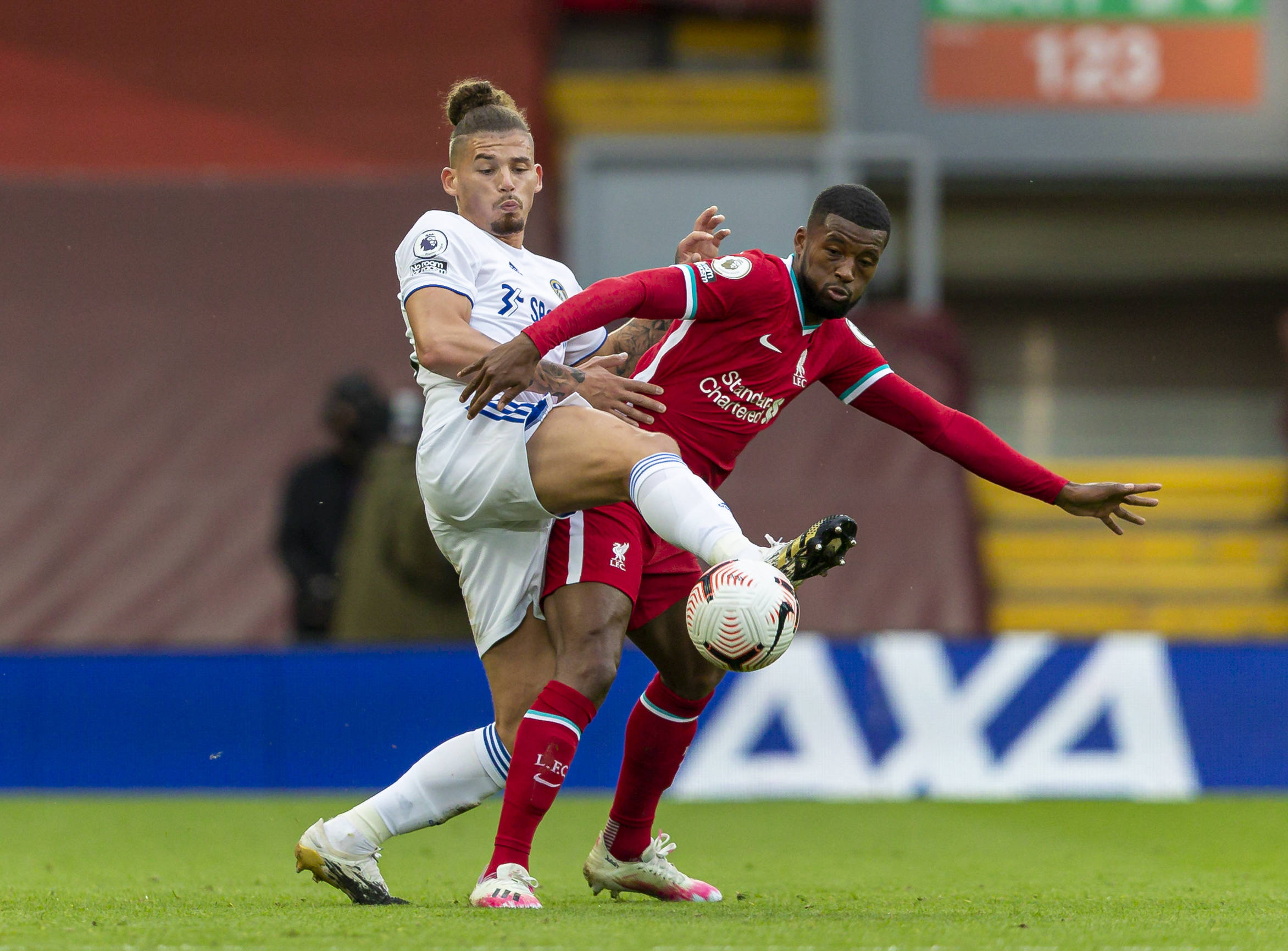 发挥的重要 发挥的重要