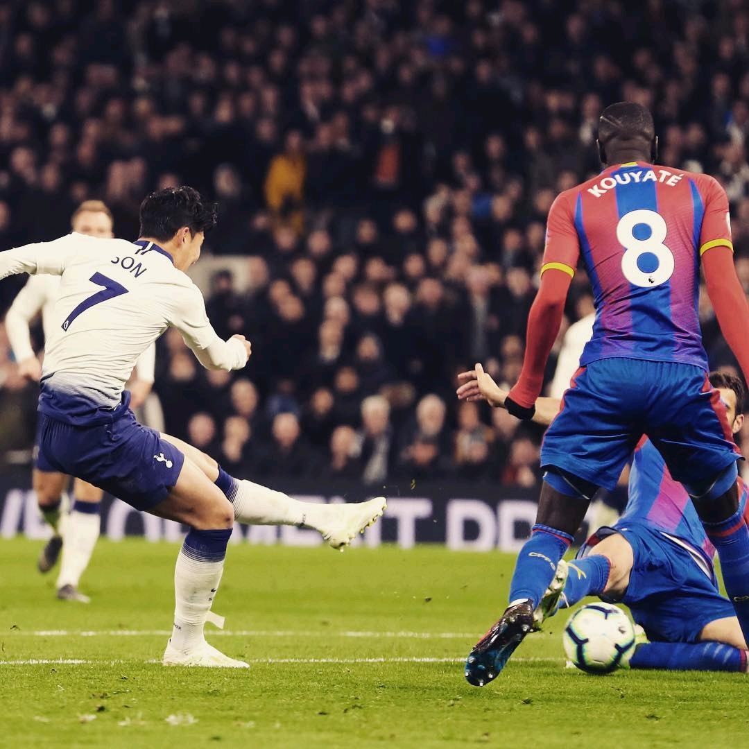 壮大生态文 壮大生态文